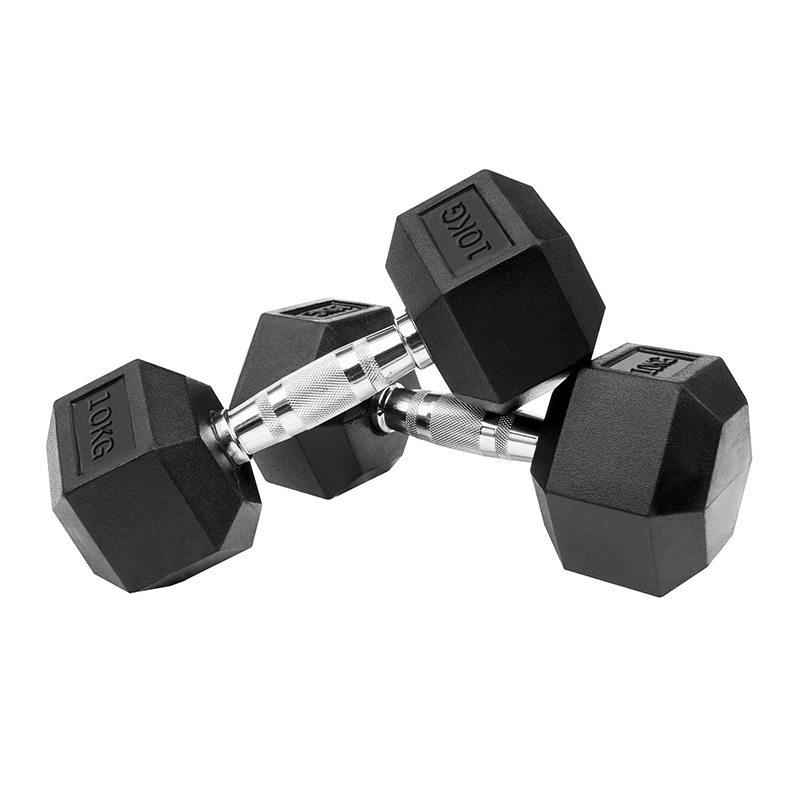 홈짐 홈트 PEV 헥사곤 덤벨 육각 아령 10kg 2개