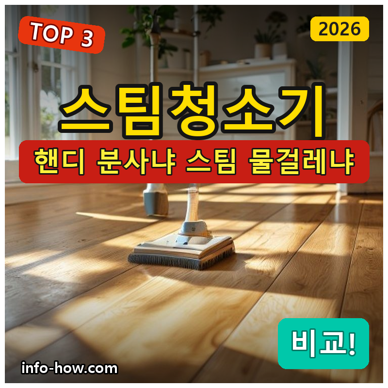 스팀청소기, 핸디 분사냐 스팀 물걸레냐